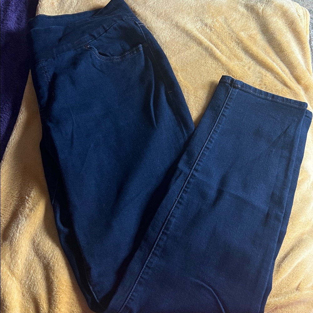 Women’s JAG Jeans Dsrk Denim Size 14